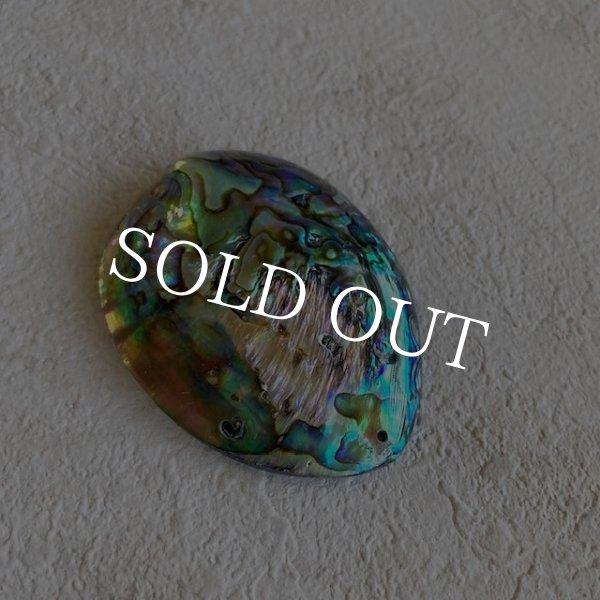 画像3: ナチュラルシェル ディスプレイorアクセサリー (3)