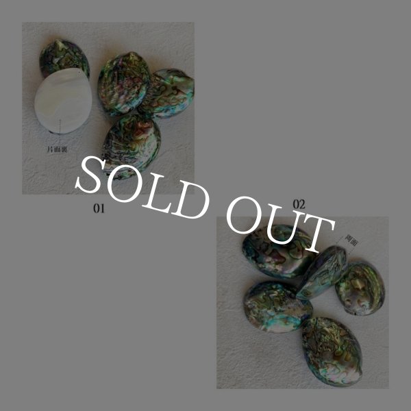 画像2: ナチュラルシェル ディスプレイorアクセサリー (2)