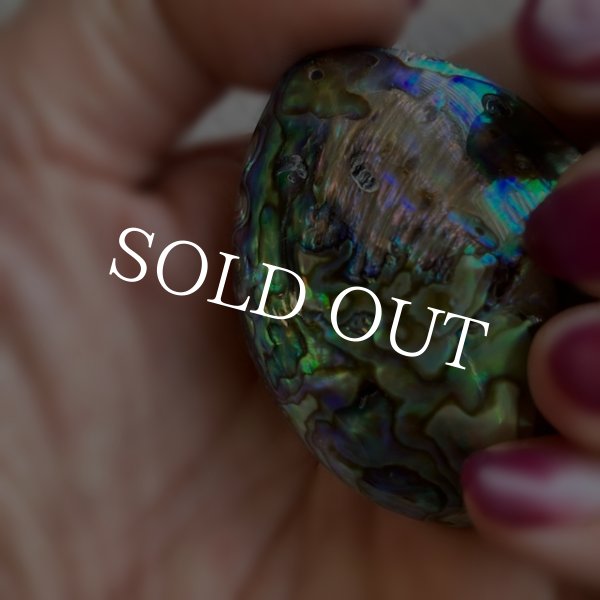 画像7: ナチュラルシェル ディスプレイorアクセサリー (7)