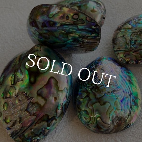 画像4: ナチュラルシェル ディスプレイorアクセサリー (4)