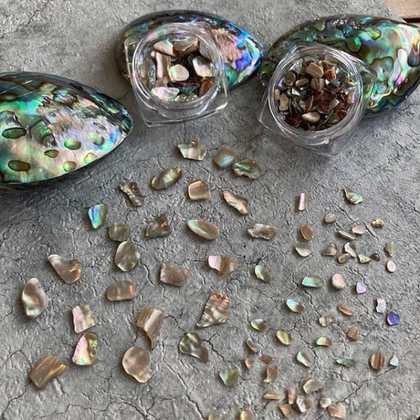 画像5: レインボーシェルII (5)