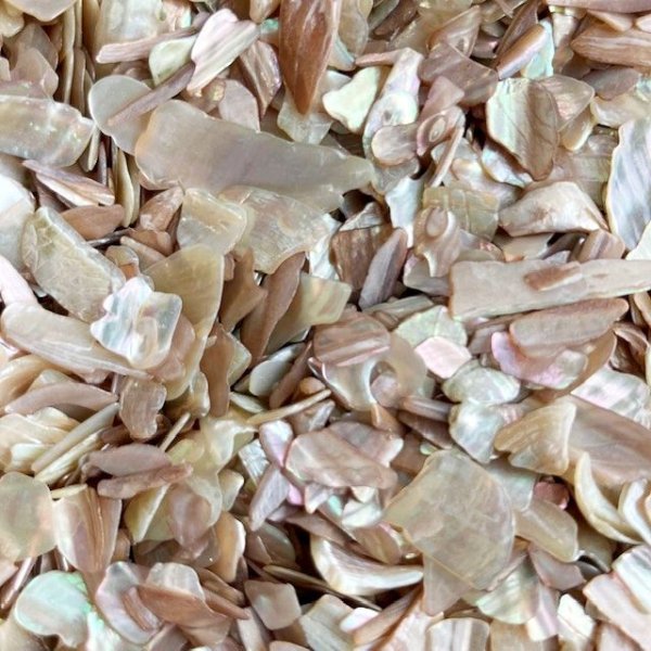 画像7: ティンシェル (7)