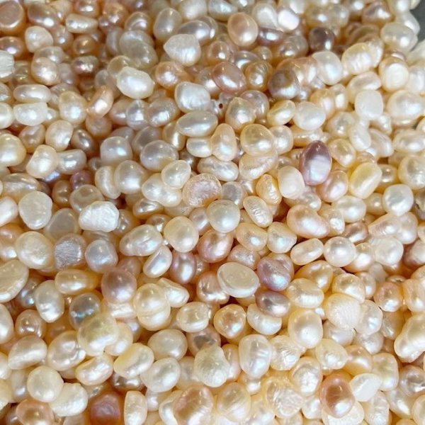 画像4: 淡水パール カラーMIX (4)