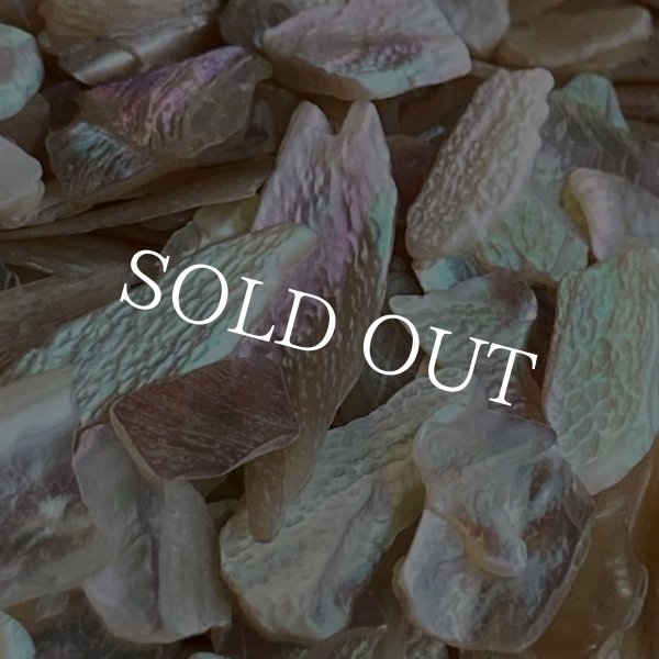 画像2: ピンクベージュ シェル (2)