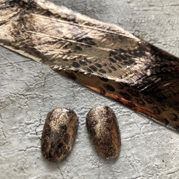 画像2: パイソン転写ホイル (2)