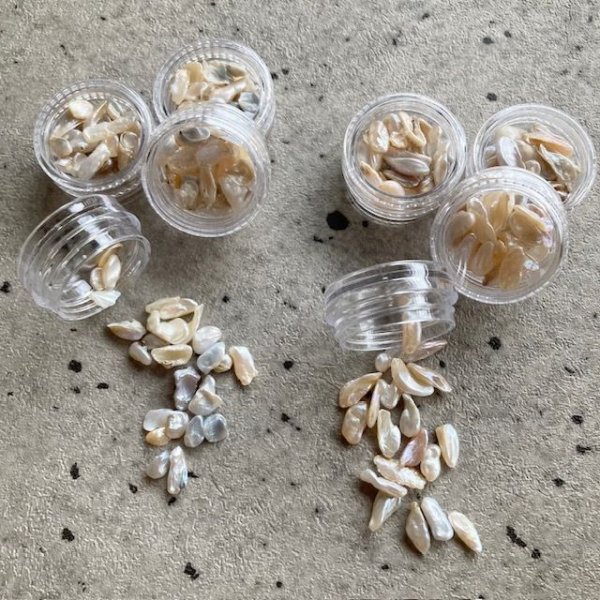 画像4: ナチュラルバロック　2タイプ (4)