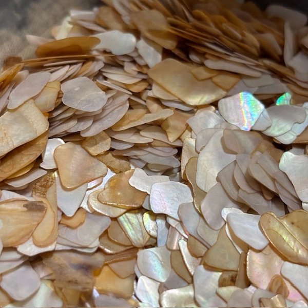 画像4: フラットシェル (4)