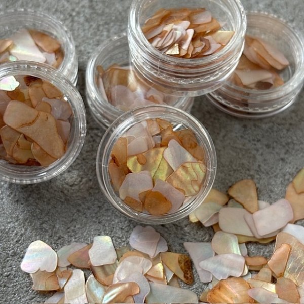 画像3: フラットシェル (3)