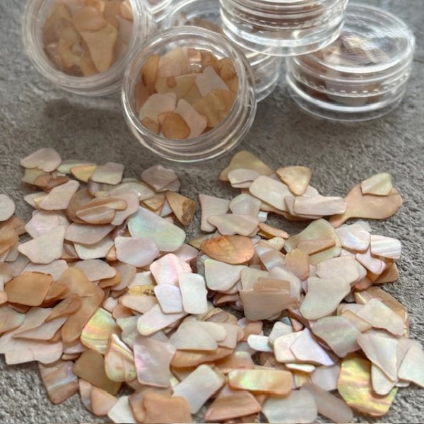 画像2: フラットシェル (2)